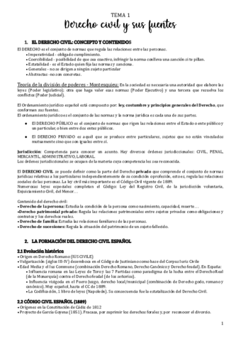 tema-1-civil.pdf