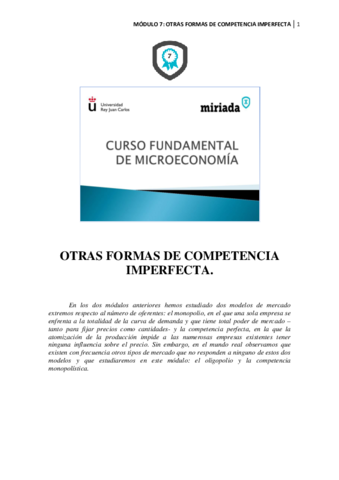 PDF-Modulo-7.pdf