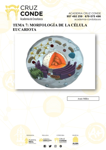 Tema-7-Celula-Eucariota.pdf