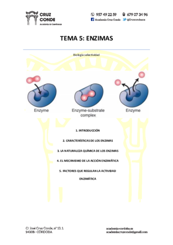 Tema-5-Enzimas.pdf