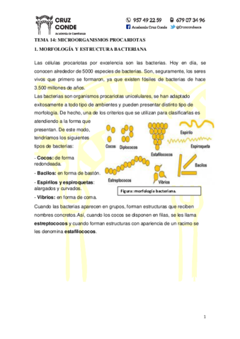 Tema-14-Microorganismos.pdf