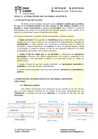 Tema-11-Mutaciones.pdf