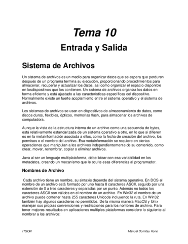 Tema-10-Entrada-y-Salida.pdf