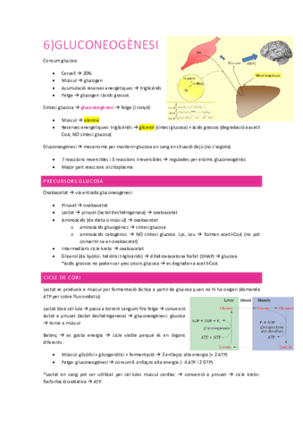 Resum-bioquimica-temes-6-9.pdf