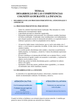 TEMA-6.pdf