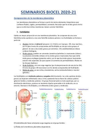 Seminarios-de-Biologia-Celular.pdf
