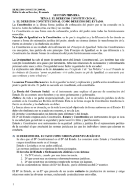 Constitucional Resumen del Libro.pdf