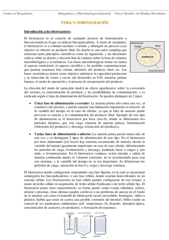 Tema 5. Inmovilización VSM.pdf