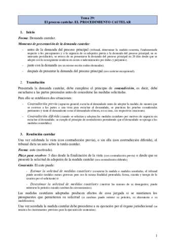 TEMA-29.pdf