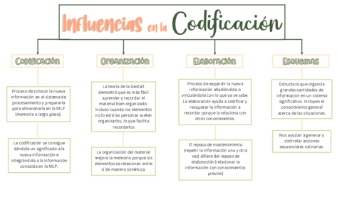 InfluenciasenlaCodificacionTa.pdf