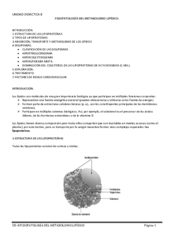 UD8-Metabolismo-Lipidos-2020.pdf