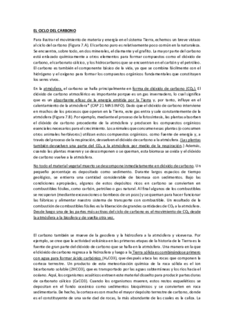 CICLO-DEL-CARBONO.pdf
