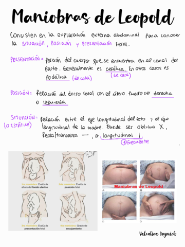 Maniobras-de-Leopold.pdf
