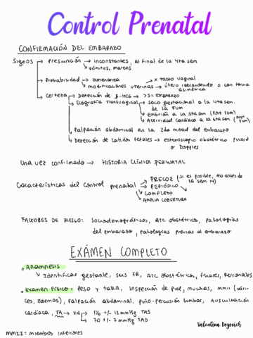 Control-prenatal.pdf