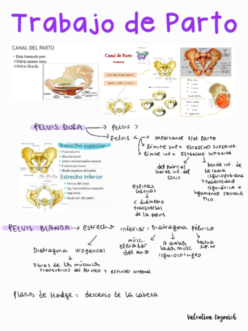 Trabajo-de-parto.pdf