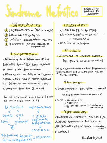 Sindrome-nefrotico.pdf