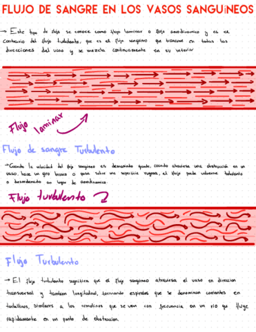 Flujo-de-sangre.pdf