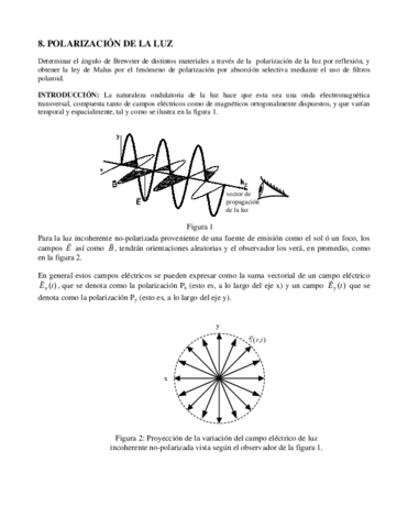 8-Polarizacion-de-la-luz.pdf