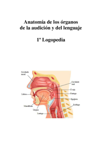 Apuntes-de-anatomia-y-anexos.pdf