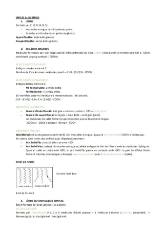 UNITAT-3ELS-LIPIDS.pdf