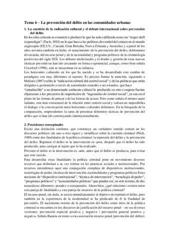 Resumen-Tema-6.pdf