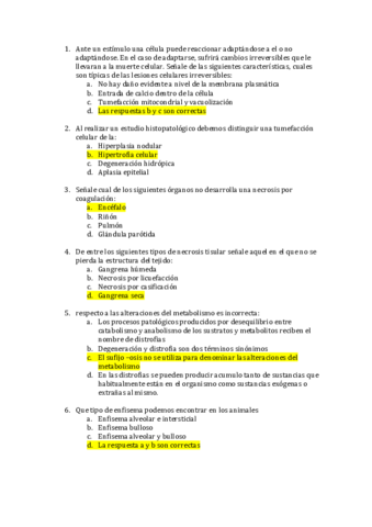 EXAMEN-APG-CONTESTADO.pdf