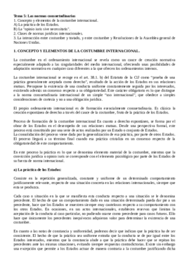 Tema 5. Las normas consuetudinarias.pdf