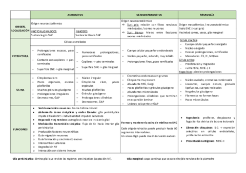 3-neuroglia-intersticial-neuropilo.pdf