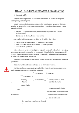 Tema-9.pdf