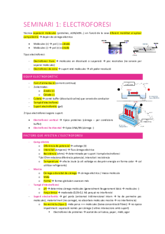 Resum-seminaris-bioquimica.pdf