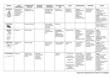 Esquemas de Zoo I.pdf