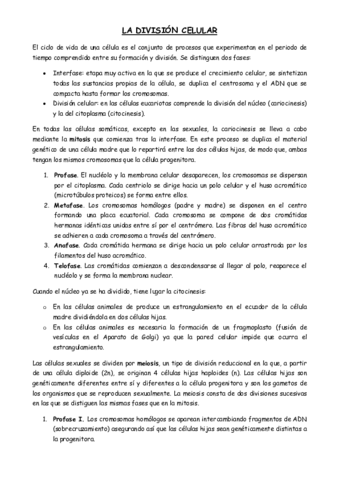 LA-DIVISION-CELULAR-PDF.pdf