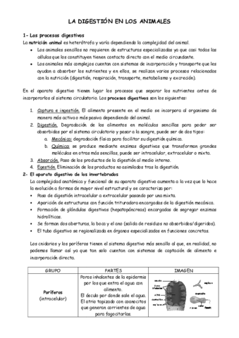 DIGESTION-EN-LOS-ANIMALES.pdf
