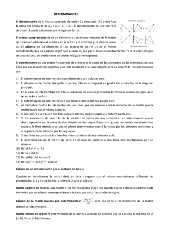 determinantes.pdf