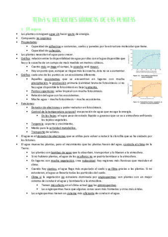 TEMA-5-Relaciones-hidricas-de-las-plantas.pdf