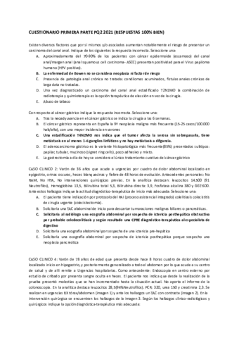 CUESTIONARIO-PRIMERA-PARTE-PQ2.pdf