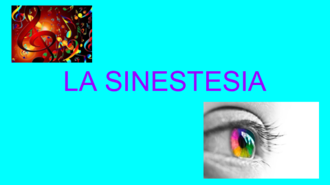 La-Sinestesia.pdf