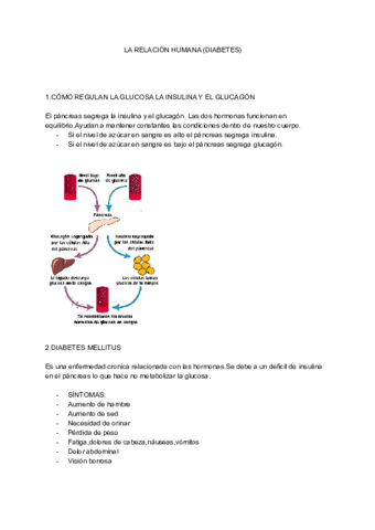 LA-RELACION-HUMANA-DIABETES.pdf