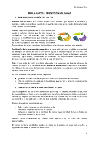 TEMA-2-P2-PERCEPCION-DEL-COLOR-Documentos-de-Google.pdf