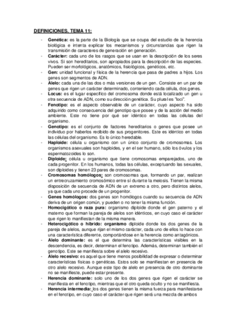 DEFINICIONES-TEMA-11.pdf