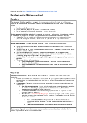 Morfologia-estructura-y-funciones.pdf