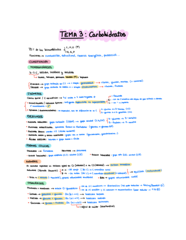 Resumen-carbohidratos.pdf