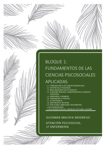 APUNTES-BLOQUE-1-ATENCION-PSICOSOCIALpdf.pdf