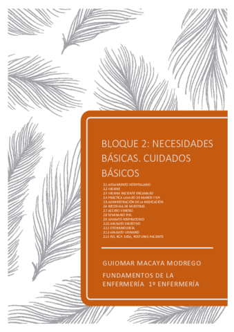 BLOQUE-2-FUNDAMENTOS-pdf.pdf