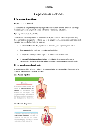 LA-FUNCION-DE-NUTRICION.pdf