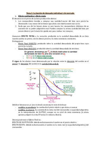 Temas-5-al-7.pdf