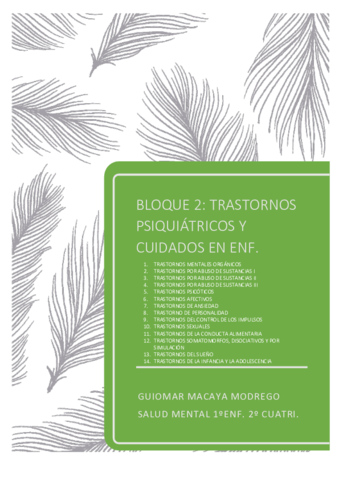 APUNTES-BLOQUE-2-salud-mental-pdf.pdf