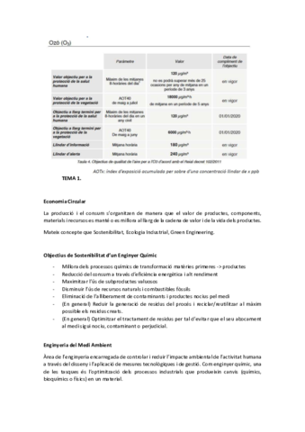 ResumEngMediAmbientMarinaM.pdf
