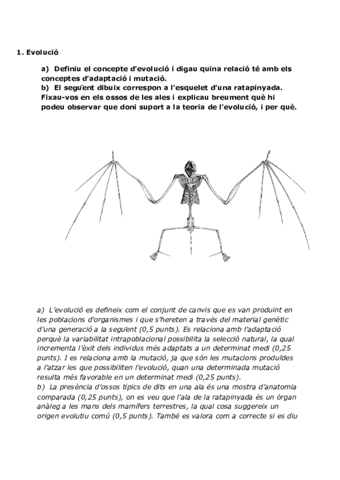 PREGUNTES-GENETICA-I-EVOLUCIO-PBAU.pdf