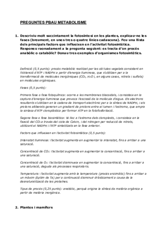 Documento.pdf